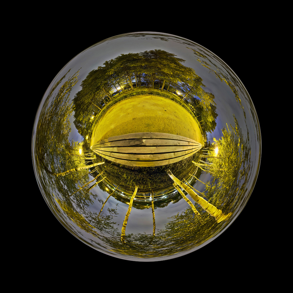 Root2, Fuji Digital Print, 125 x 123, cm, 2008