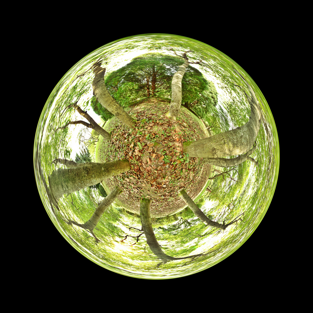 Woods06-Polar Fuji Digital Print 123 x 125 cm 2006