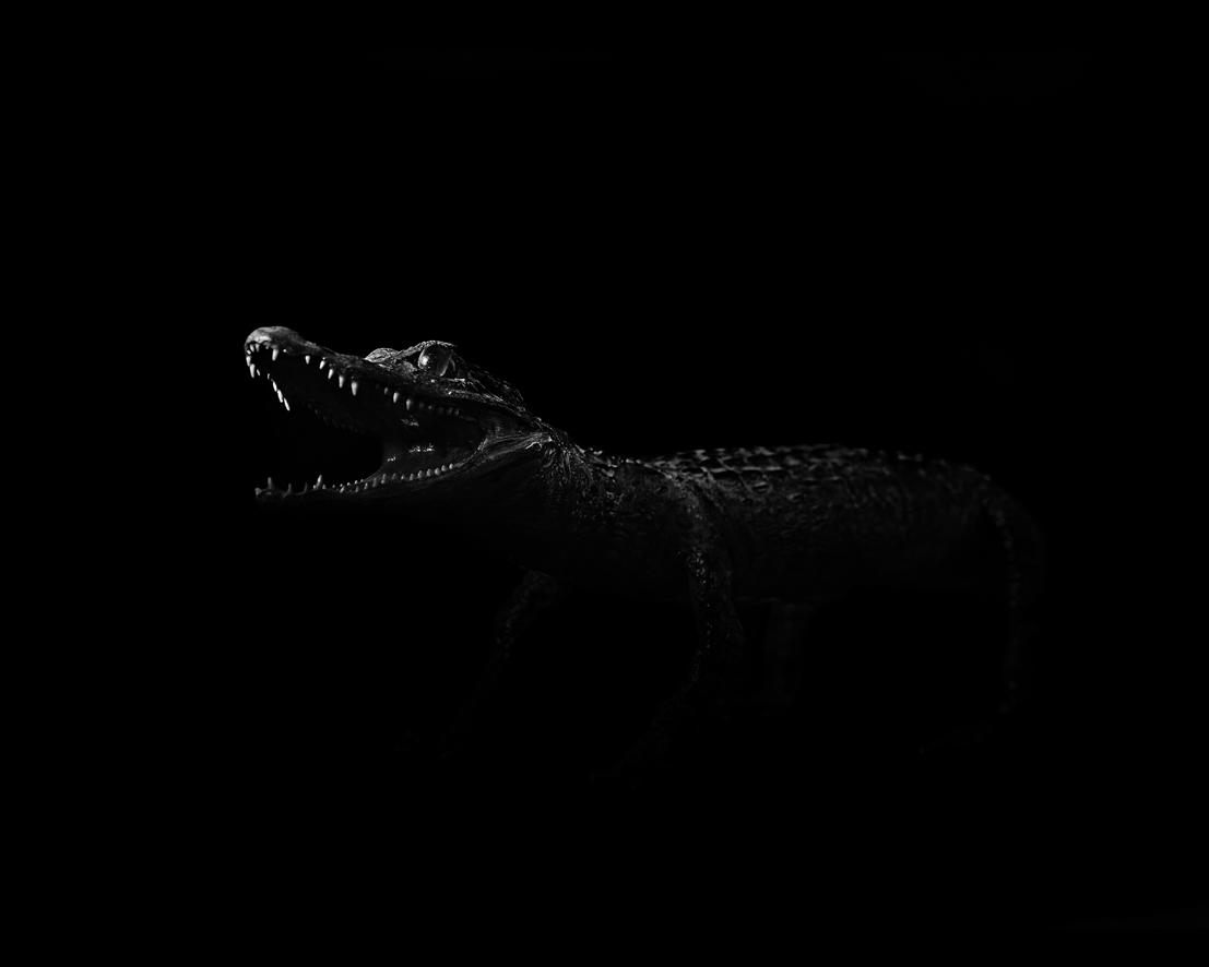 007박제의 초상 2009_ Crocodile_final