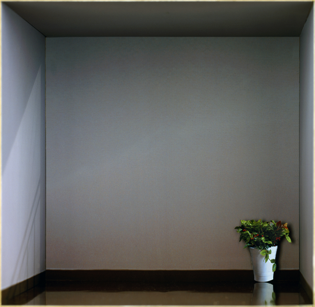 03.화분이 있는 빈방 Empty Room with a plant_Lambda Print_114x110cm_2008_Passage series