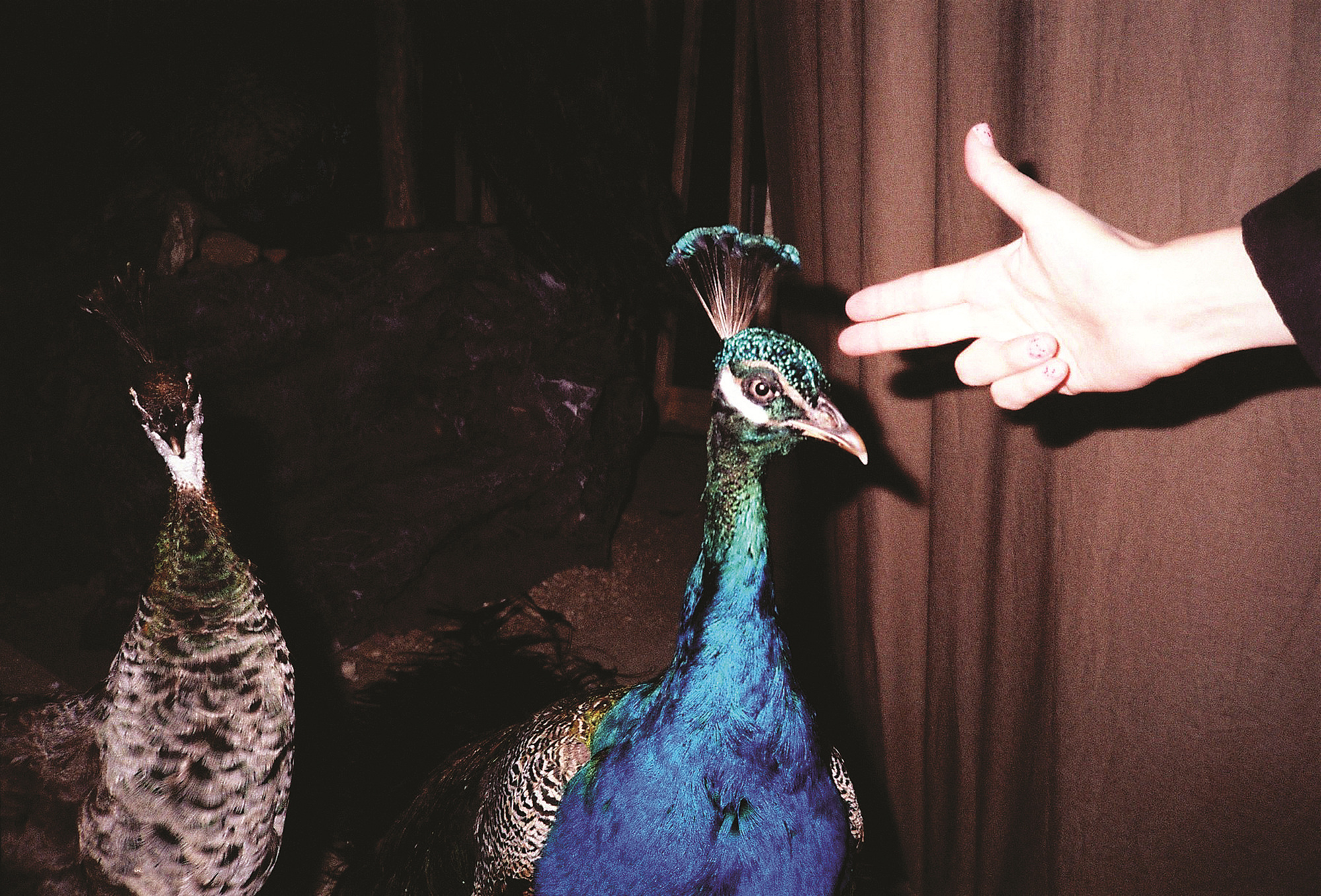 05_틈틈이 튼튼히 #03, Inkjet Print, 가변크기, 2013