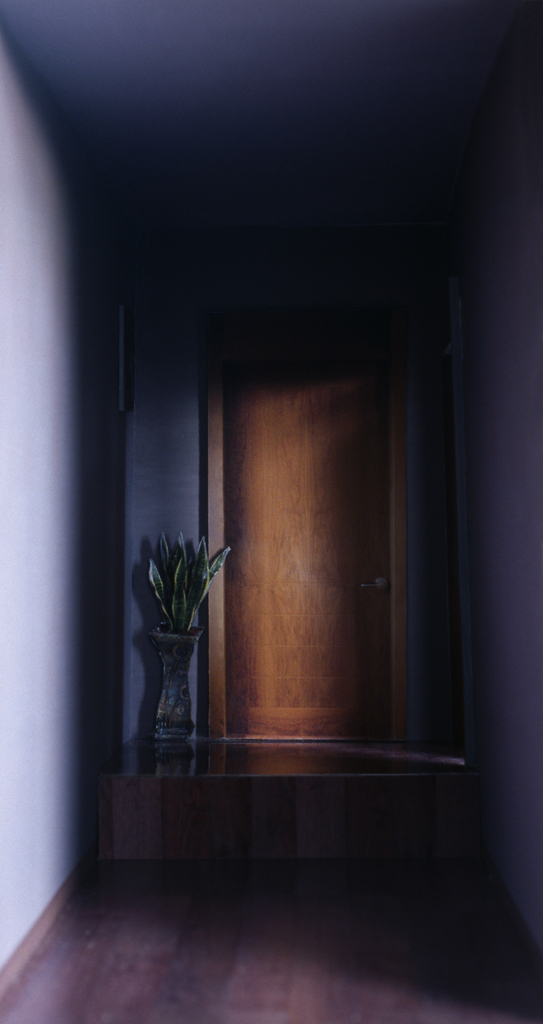 09.열린 문_85x160_inkjet print_06