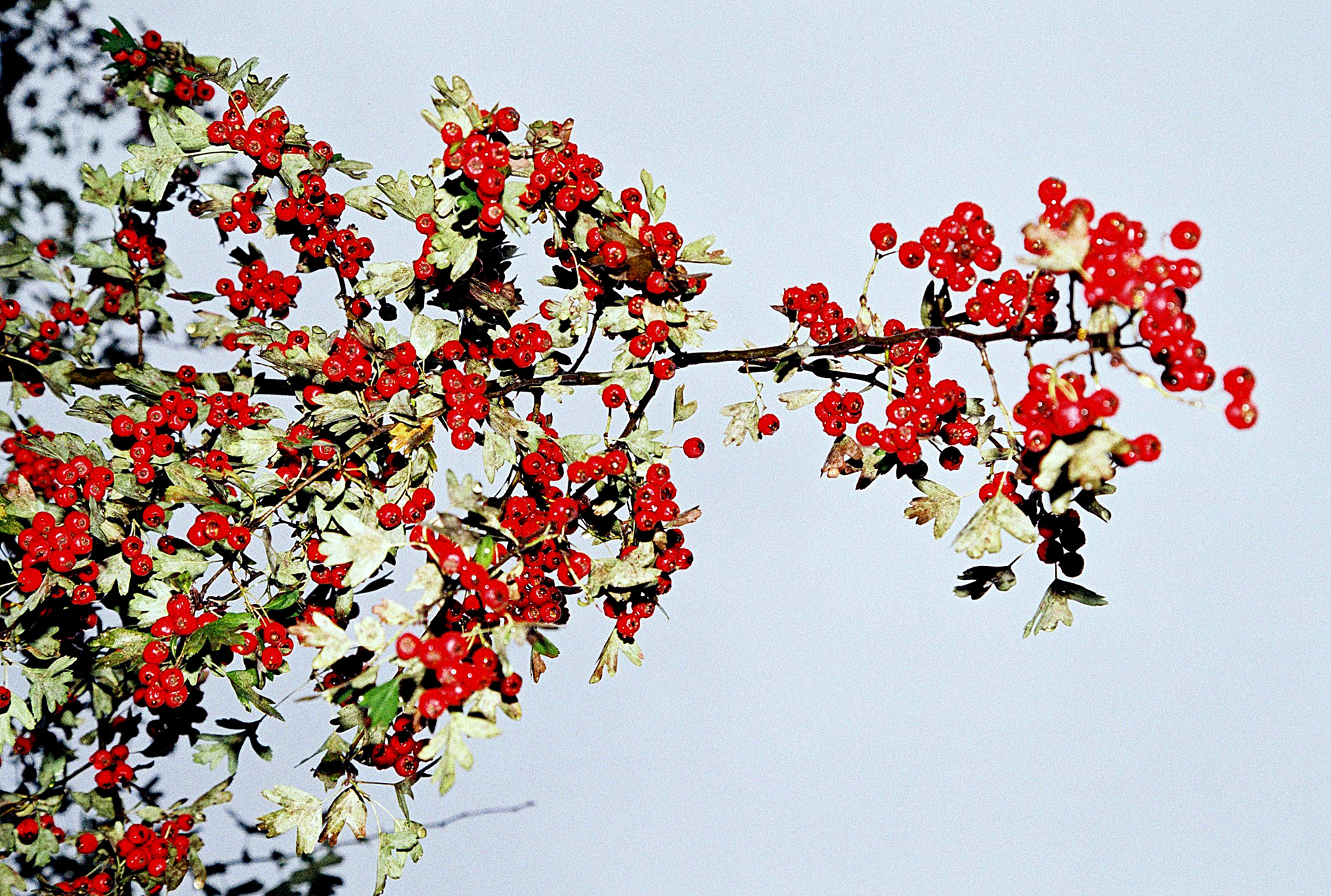 09_틈틈이 튼튼히 #07, Inkjet Print, 가변크기, 2013