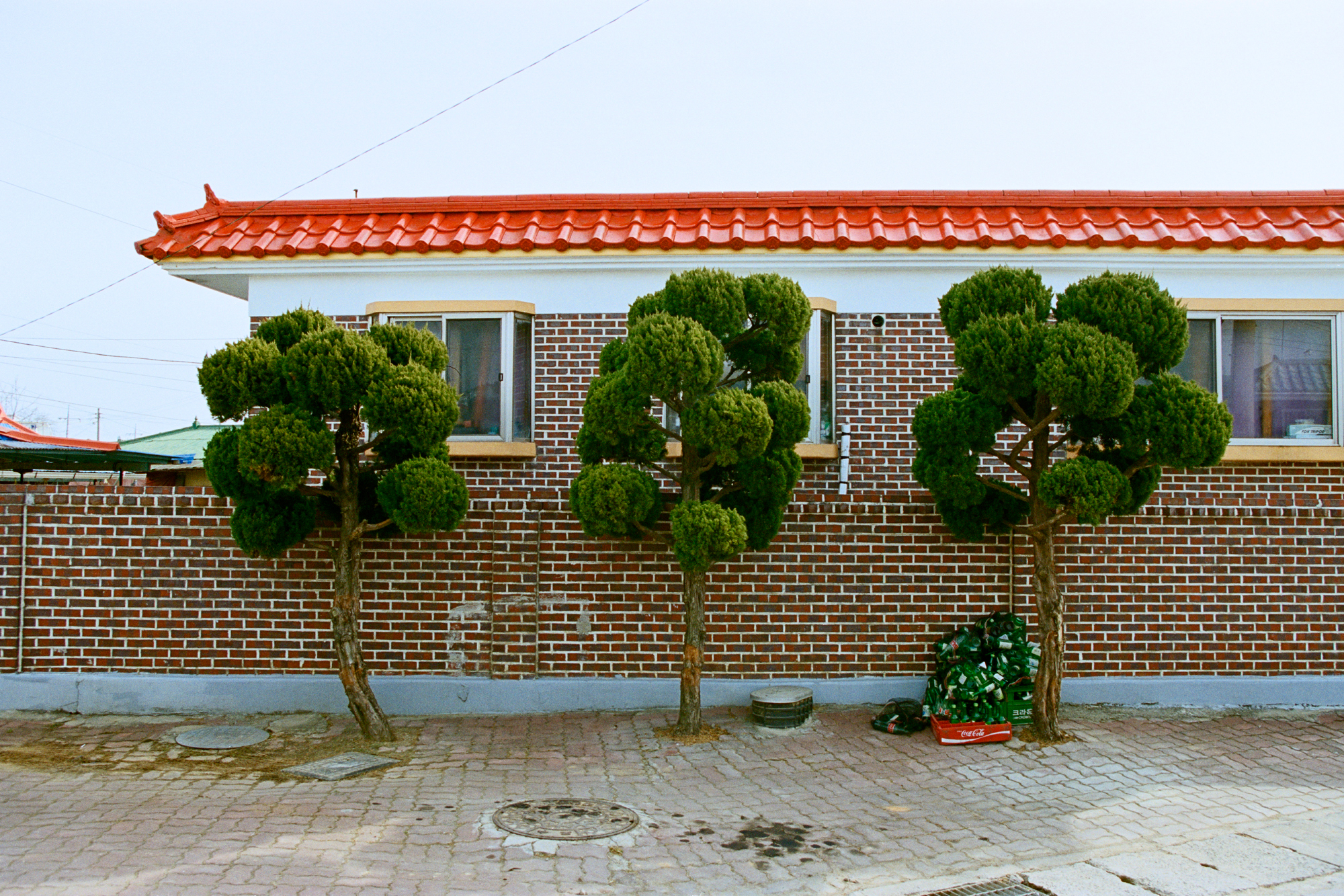 5. 로렌스의 휴일  Lawrence Holiday, 세나무, C-Print, 70X100cm, 2008