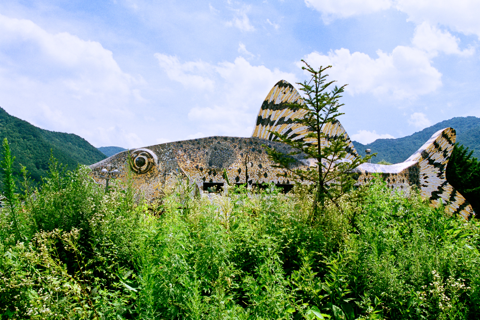 7. 로렌스의 휴일  Lawrence Holiday, 물고기, C-Print, 70X100cm, 2008