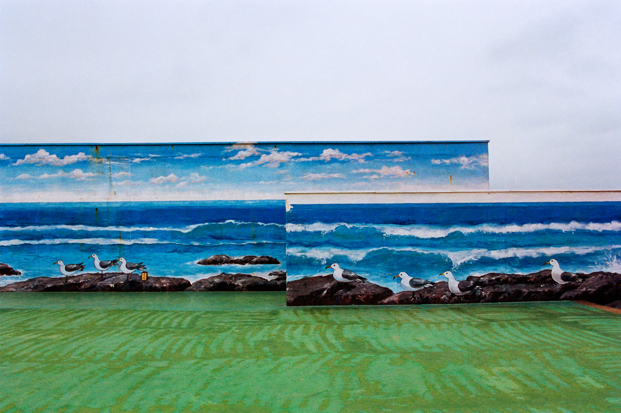 8. 로렌스의 휴일  Lawrence Holiday, 제주바다, C-Print, 70X100cm, 2008