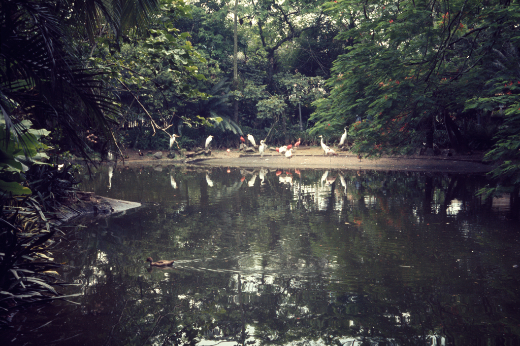 B-#002 (_MIRROR_ 1983), 22 x 33 cm, Digital print, 2011