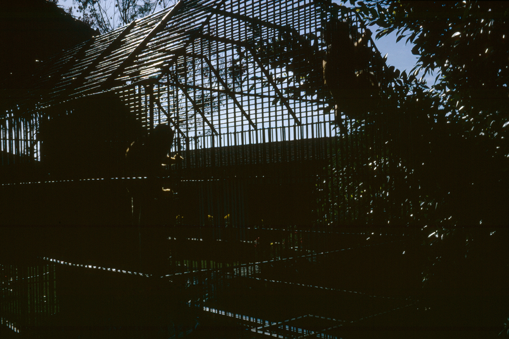 B-#003 (_FAMILY_ 1984), 22 x 33 cm, Digital print, 2011