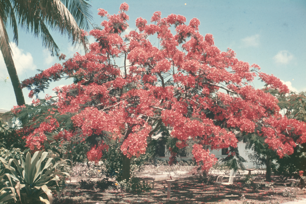 B-#005 (_FIRST SIGHT_ 2002), 22 x 33 cm, Digital print, 2011