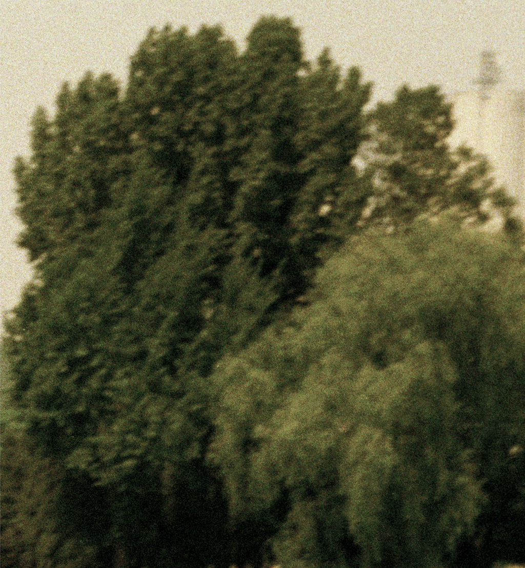 BL-#054, 108 x 100 cm, Digital print, 2006