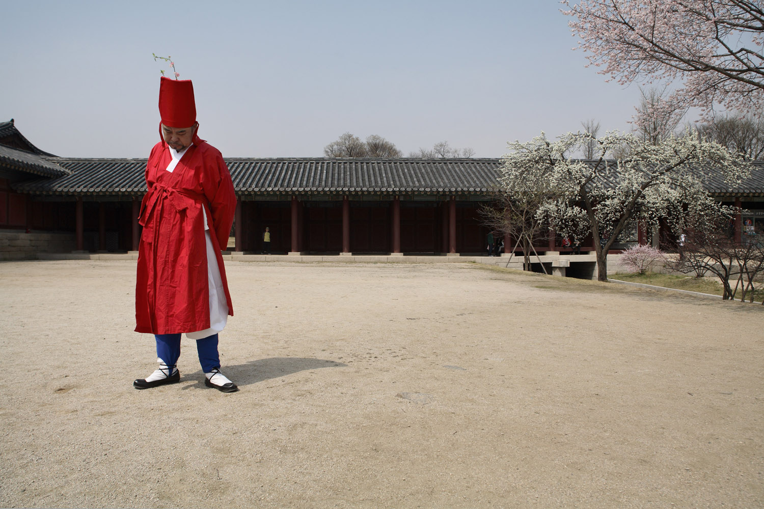 Chae-Shin Banchado 24