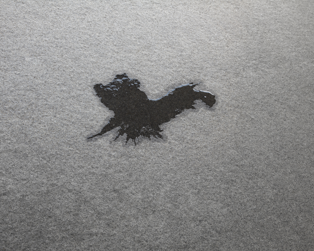 Sunday Night, 125 x 152 cm, Digital print, 2011