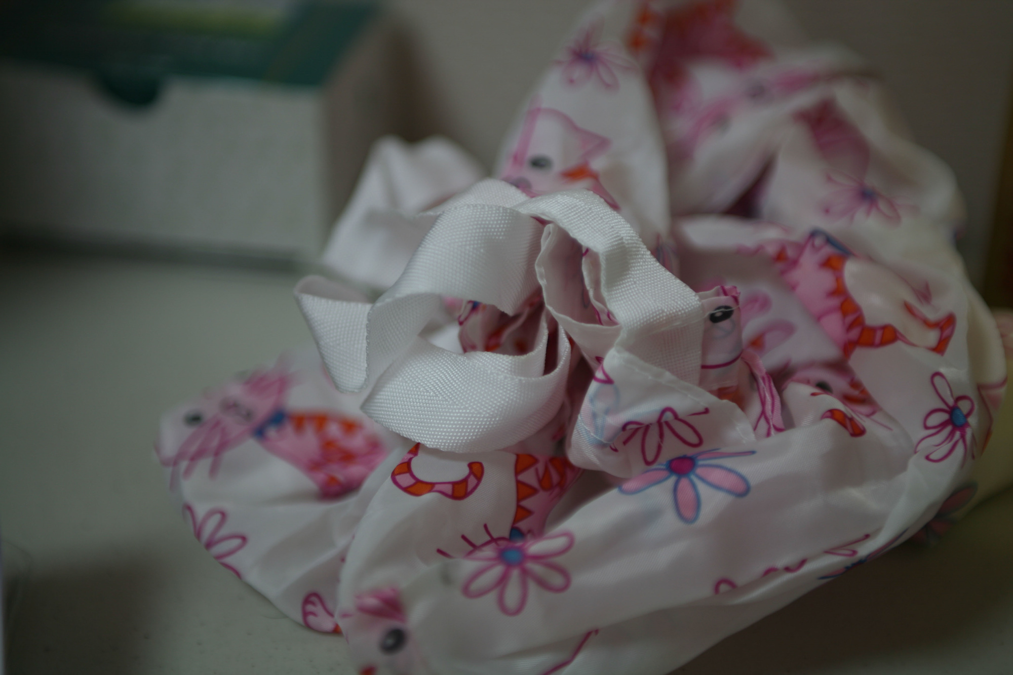 There are..., 장바구니, 30×40inch, Digital Print, 2007