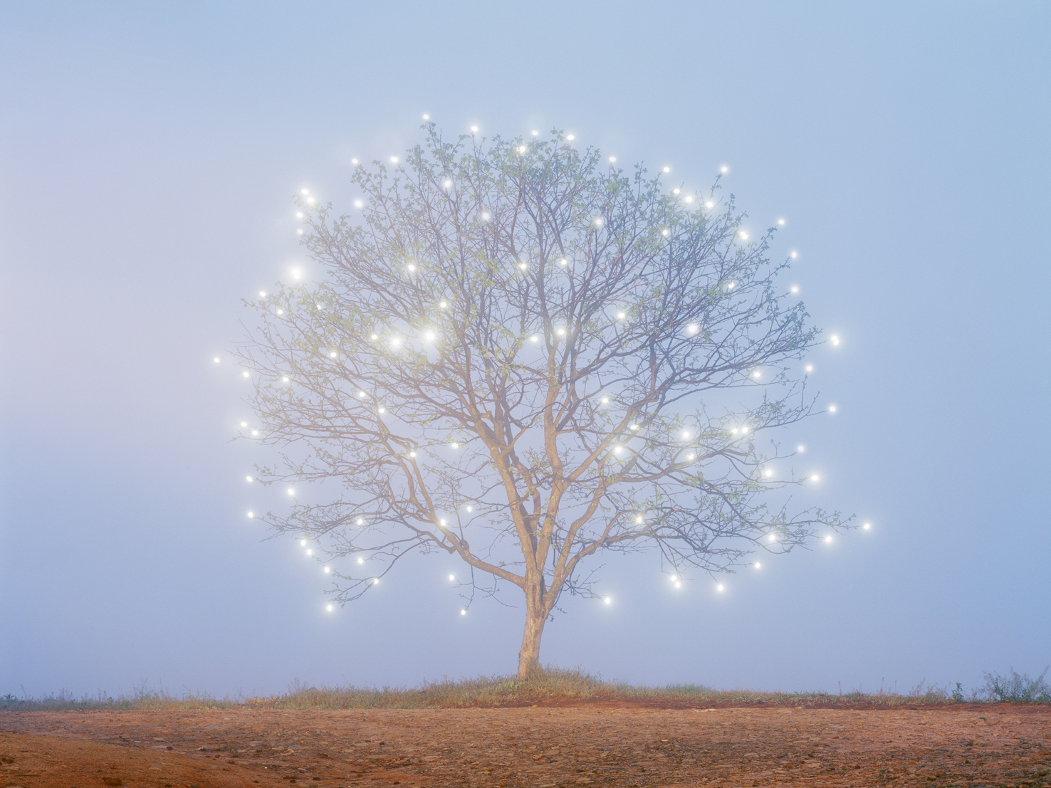 mythic scape13-생명나무Tree of life#1