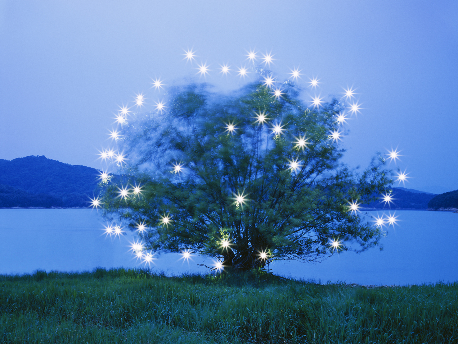 mythic scape14-생명나무#2