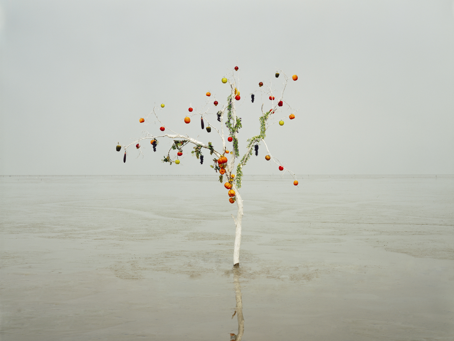 mythic scape15-생명나무#3