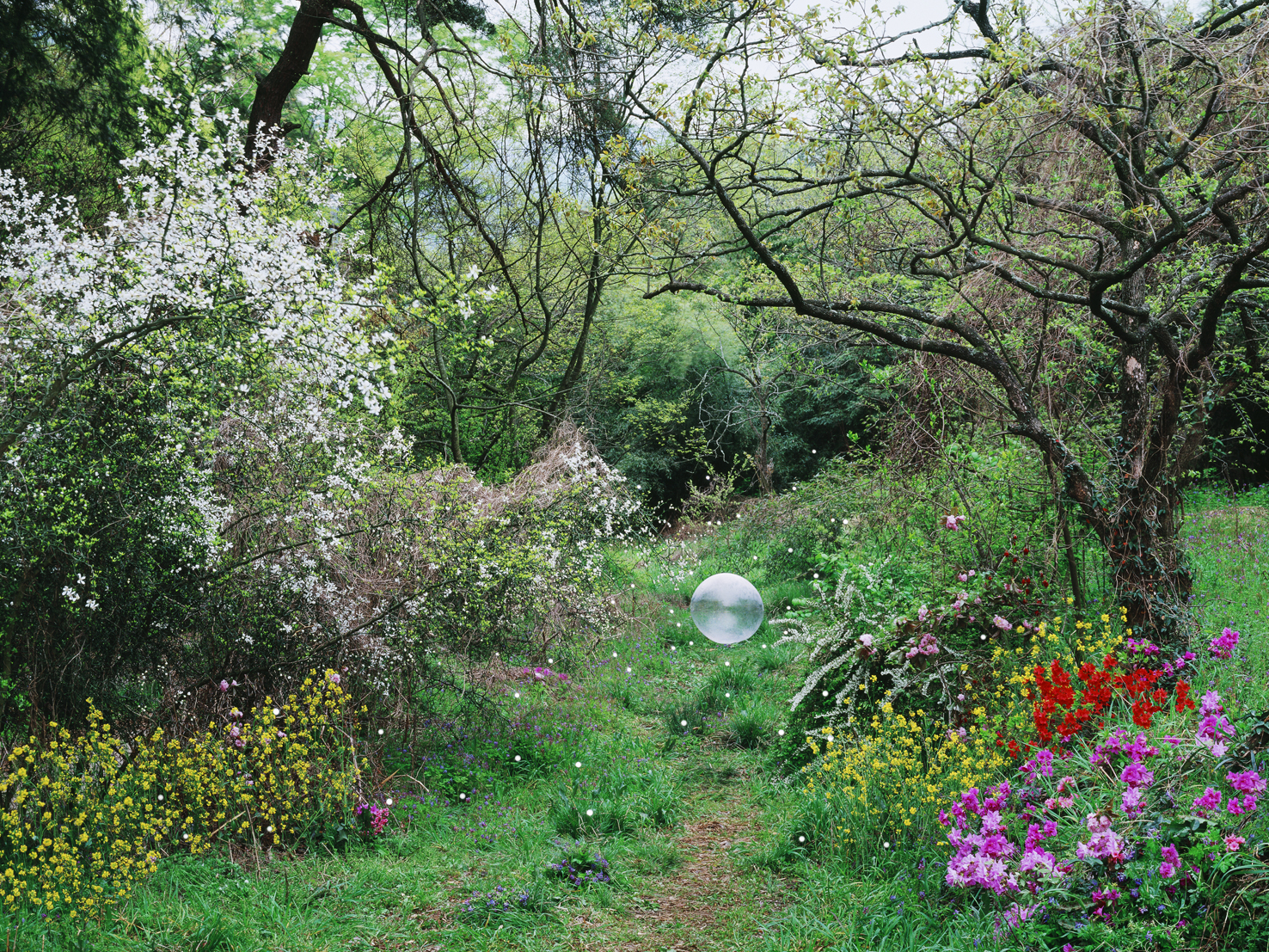 mythic scape16-영혼의숲Forest of spirit#1-1수정