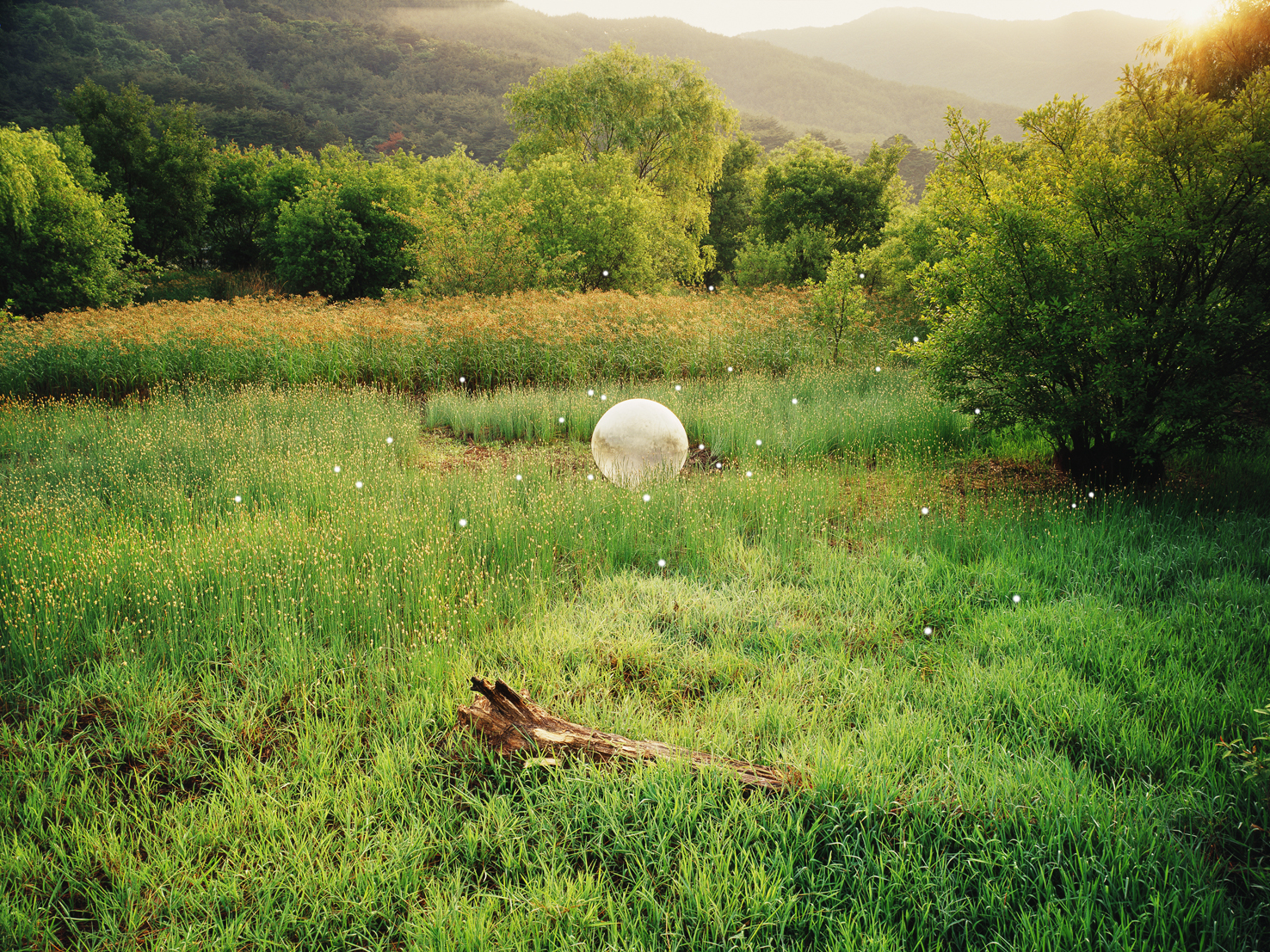 mythic scape17-영혼의숲Forest of spirit#2