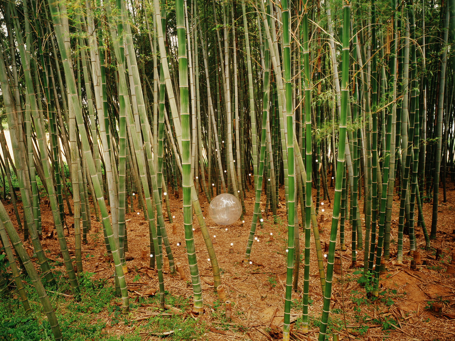 mythic scape18-영혼의숲Forest of spirit#3