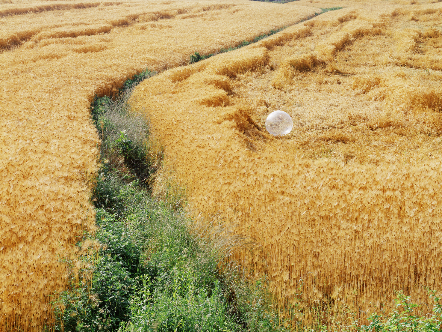 mythic scape19-보리밭Barley field