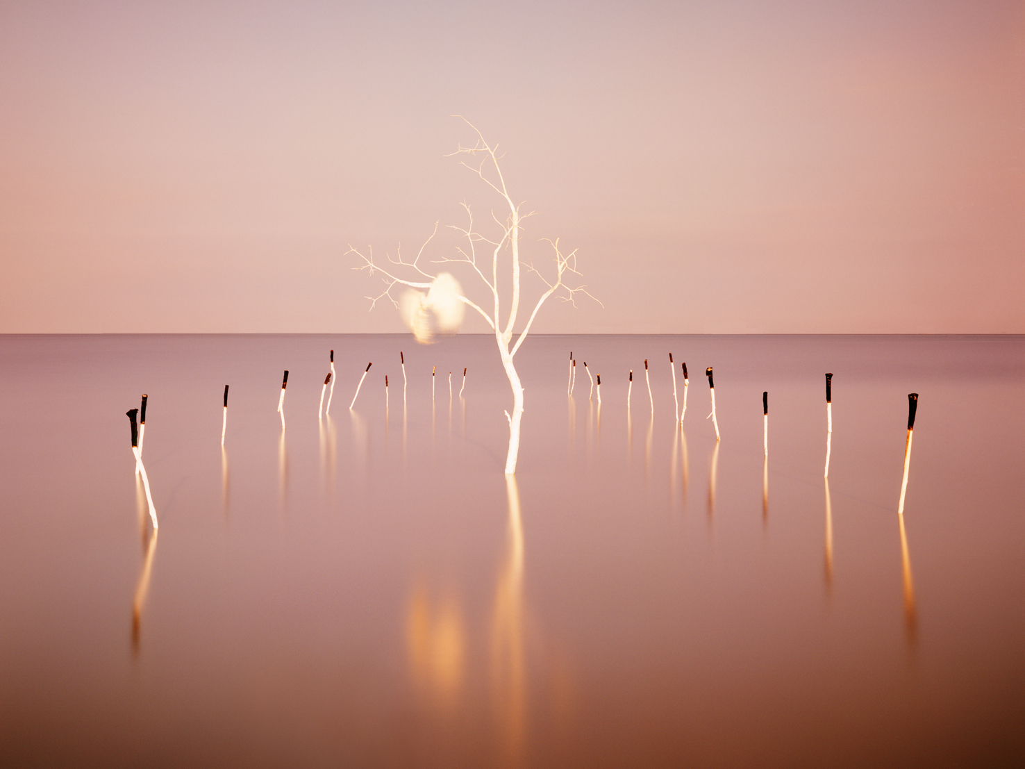 mythic scape24-생명나무#4