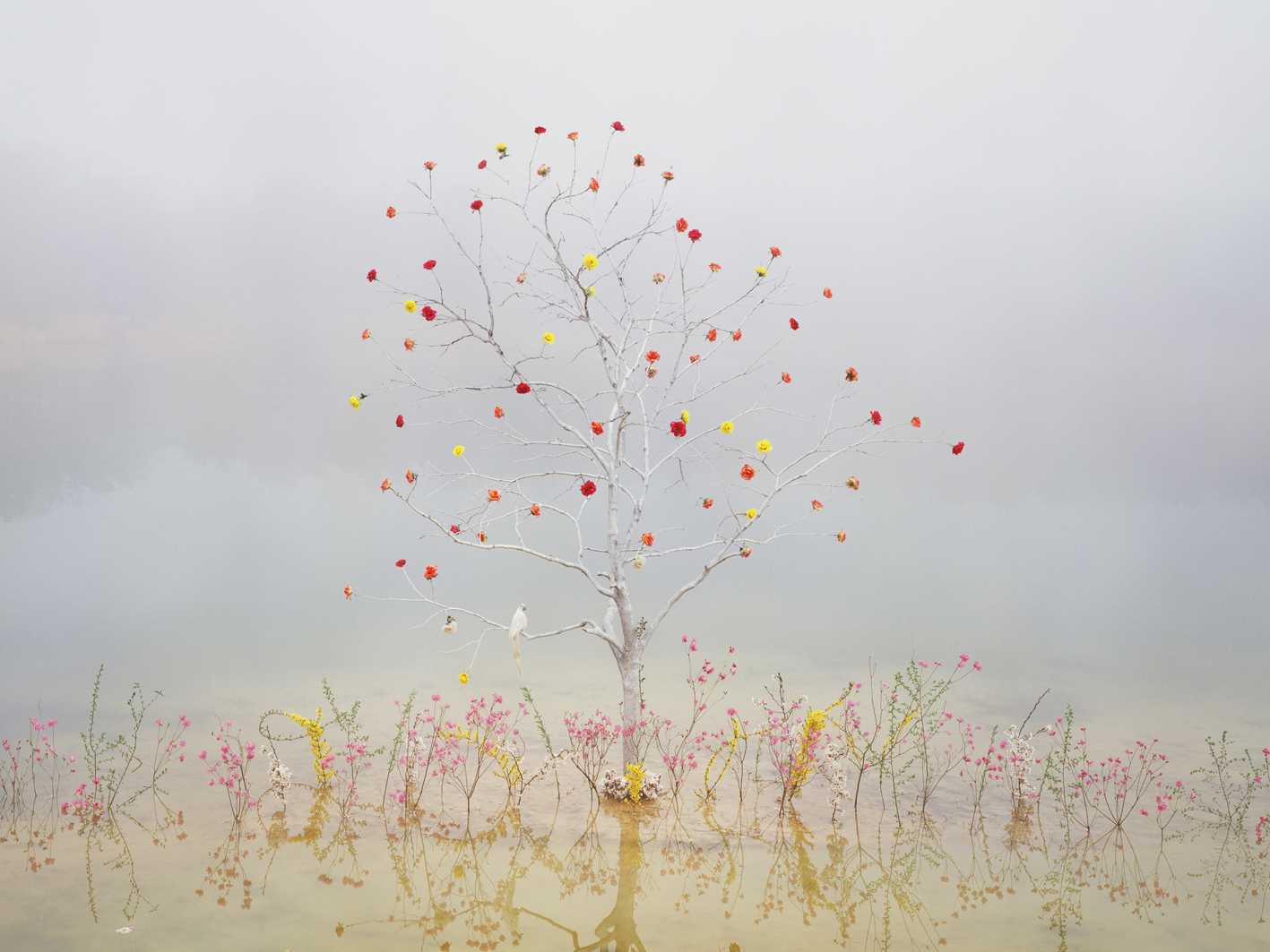 p#1-1, C-type light jet print, 75x100cm, 120x160cm, 2008