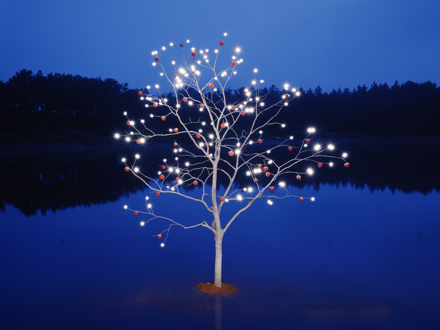 p#1-2, C-type light jet print, 75x100cm, 120x160cm, 2008