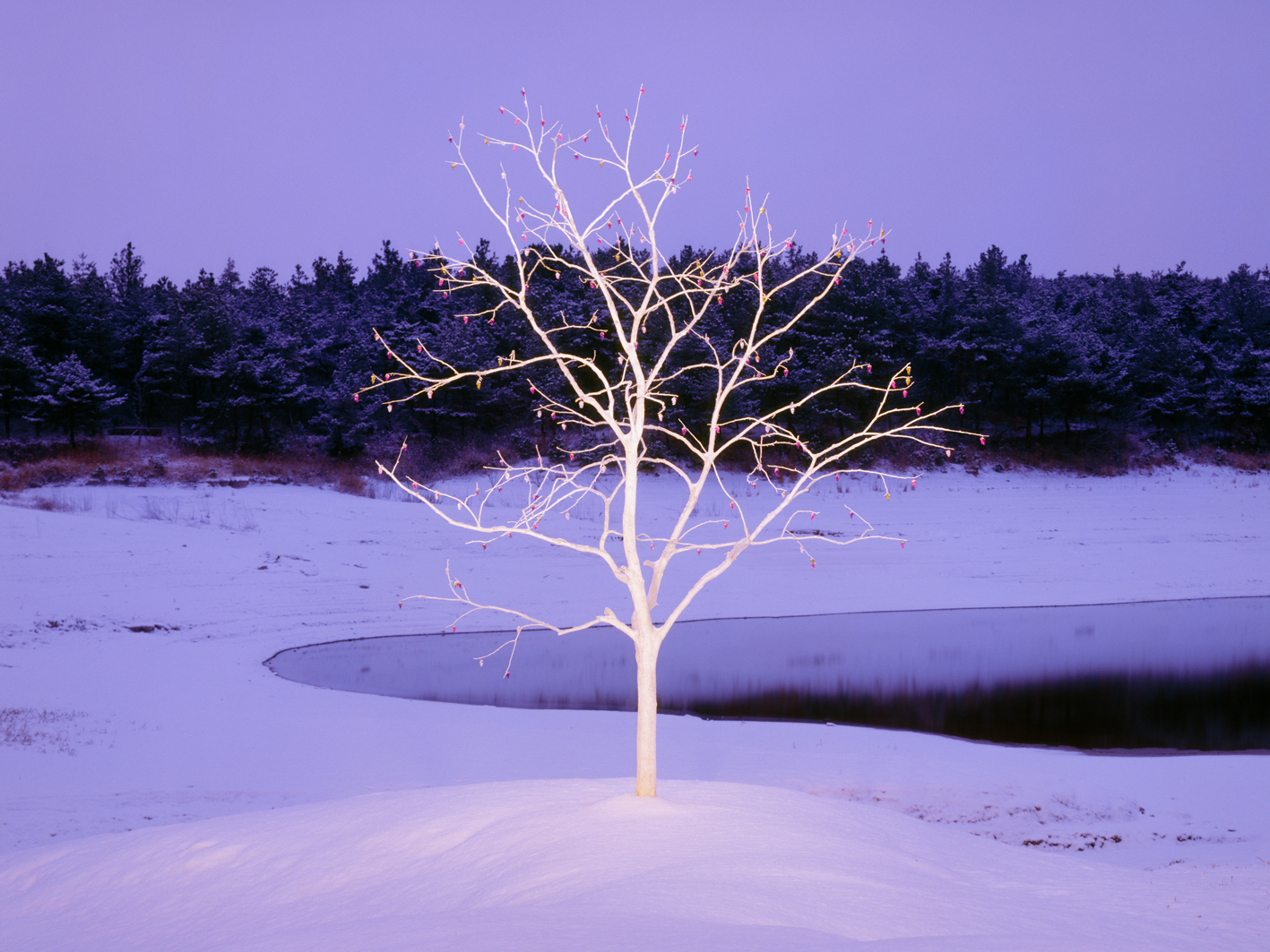 p#1-4, C-type light jet print, 75x100cm, 120x160cm, 2009