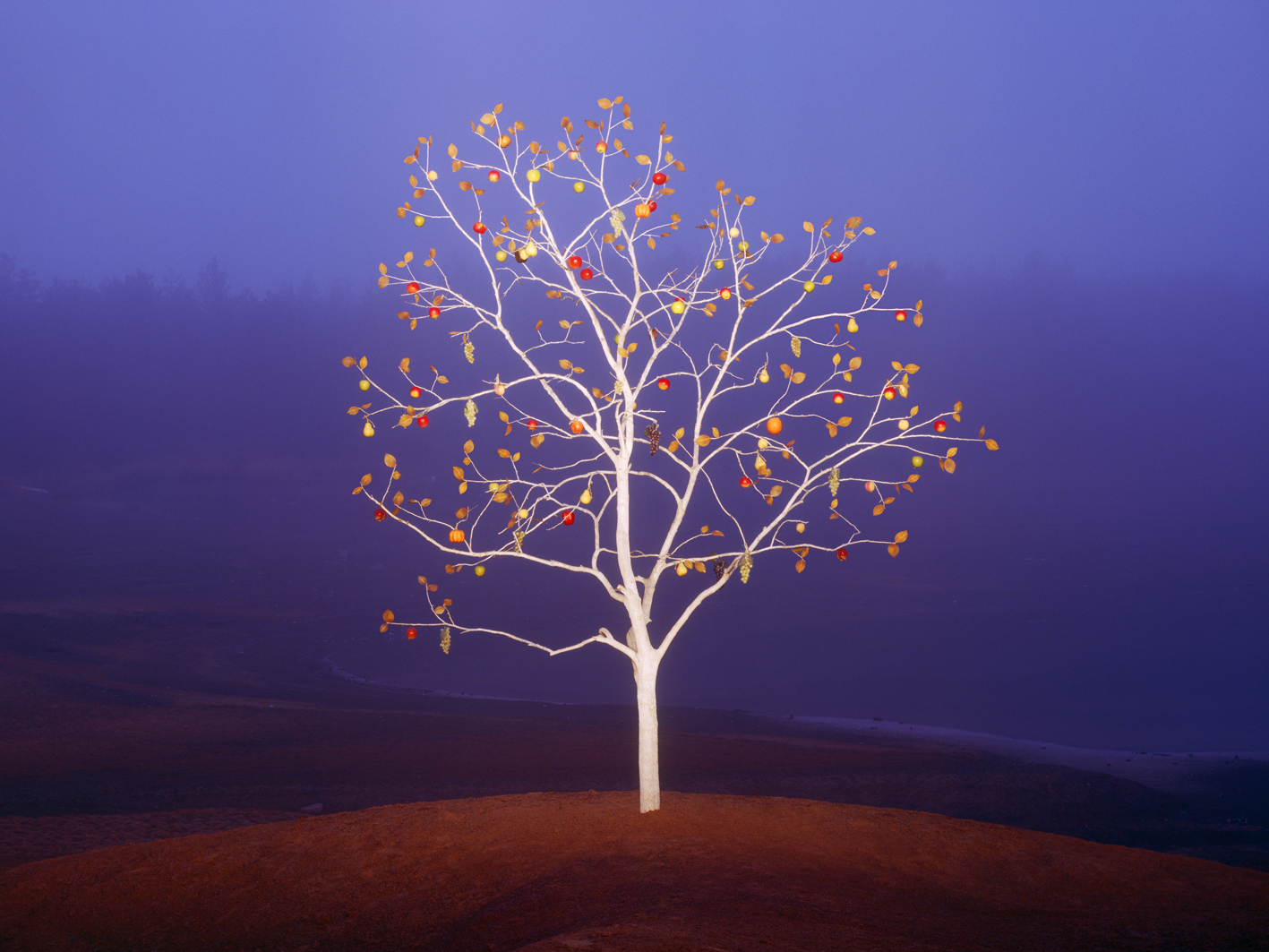 p#1-5, C-type light jet print, 75x100cm, 120x160cm, 2009