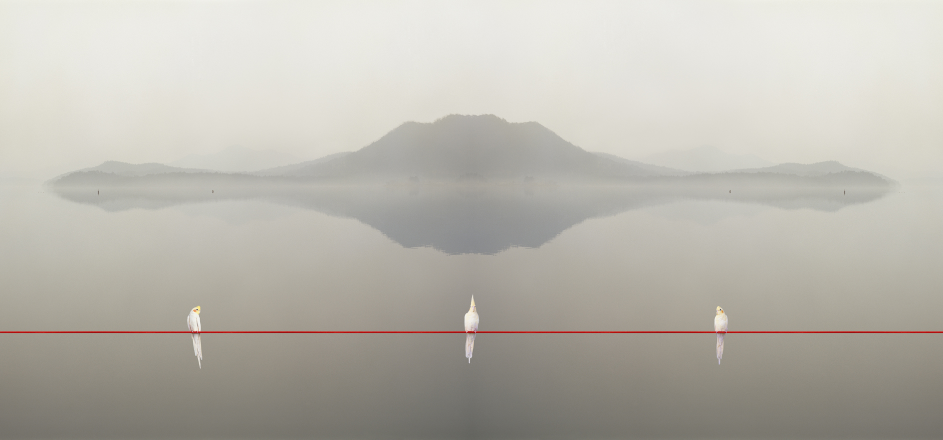 p#3-1, C-type light jet print, 56x120cm, 84x180cm, 2008