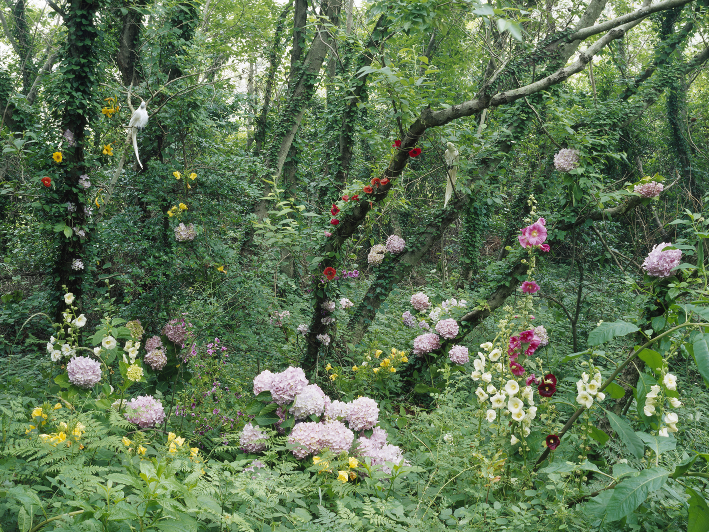 p#4-1, C-type light jet print, 75x100cm, 120x160cm, 2008