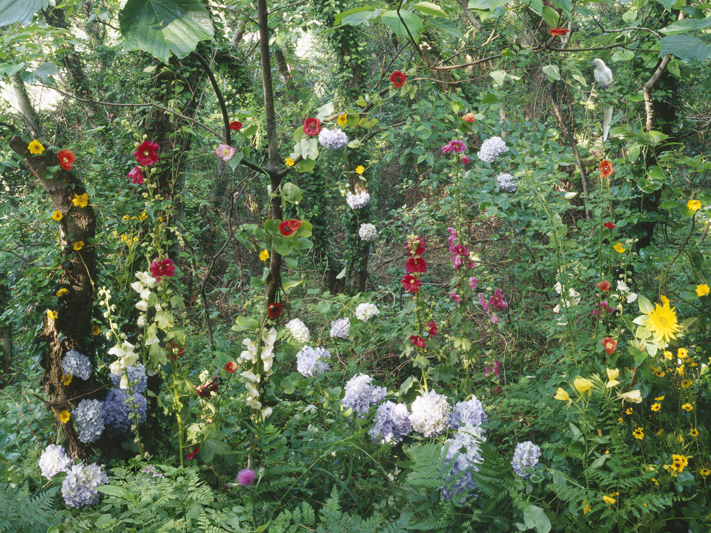 p#4-2, C-type light jet print, 75x100cm, 120x160cm, 2008