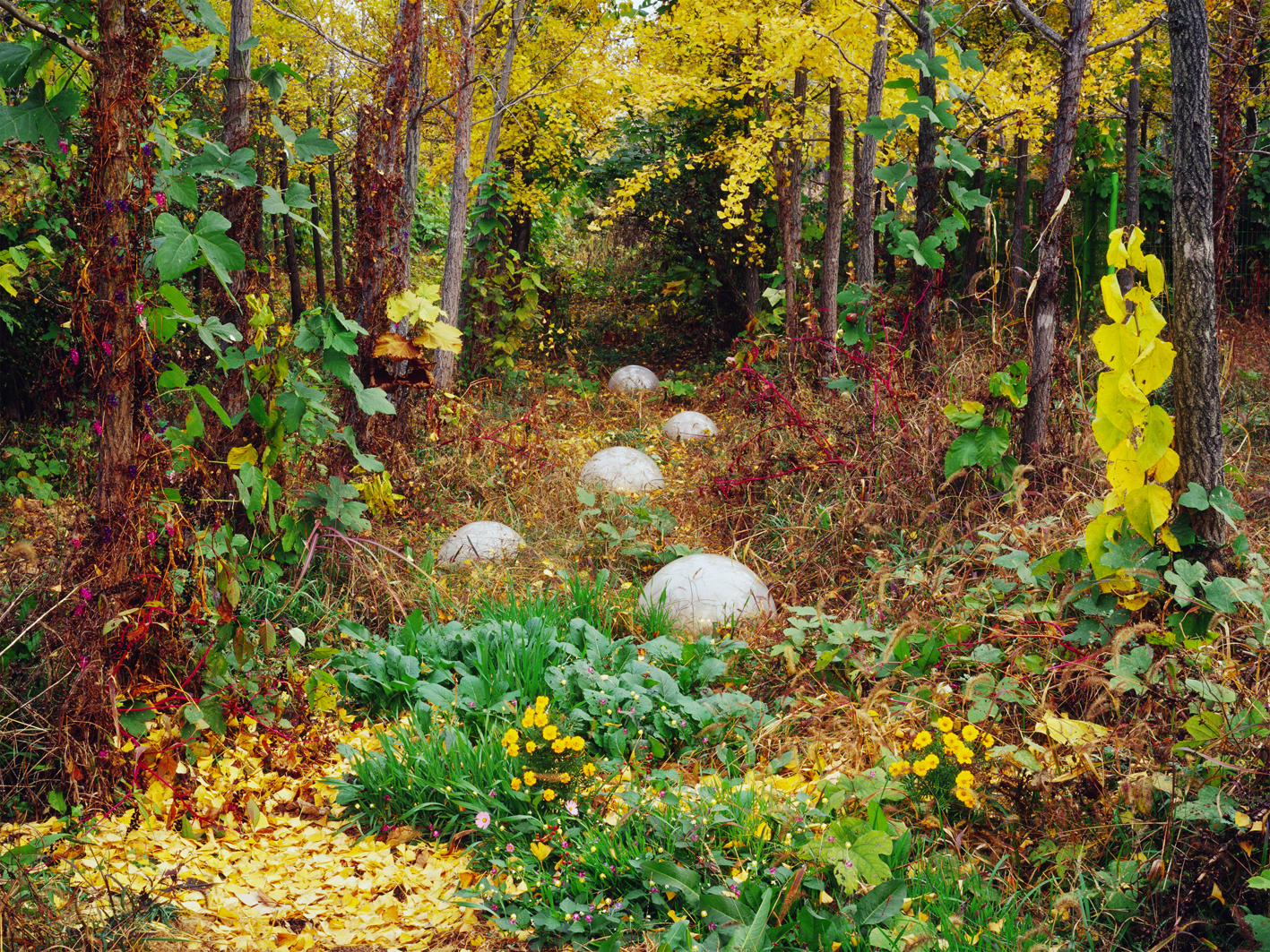 p#6-1, C-type light jet print, 75x100cm, 120x160cm, 2008