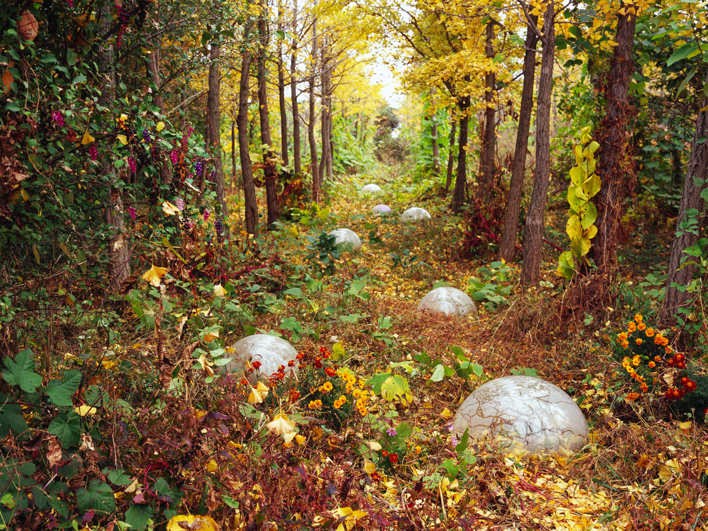 p#6-2, C-type light jet print, 75x100cm, 120x160cm, 2008