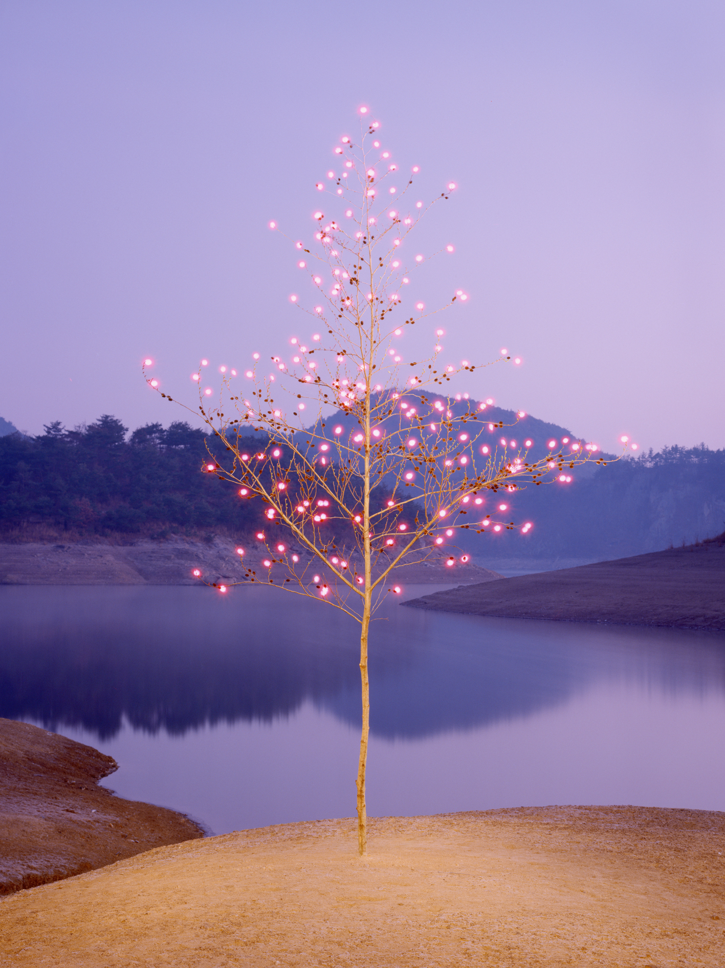 p#8-1, C-type light jet print, 100x75cm, 160x120cm, 2009