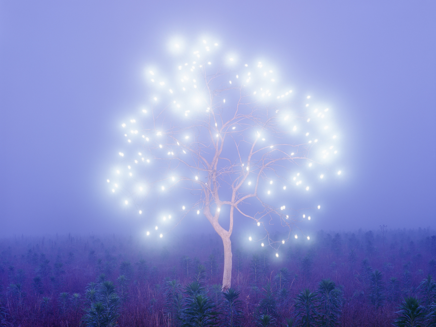 p#9-1, C-type light jet print, 100x75cm, 160x120cm, 2009