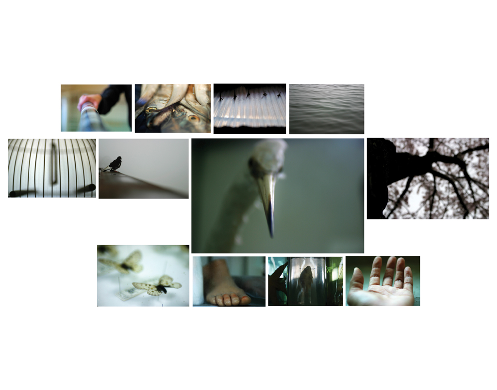 reverie , somewhere 01