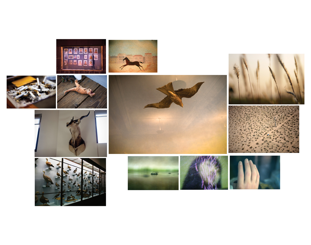 reverie , somewhere 05