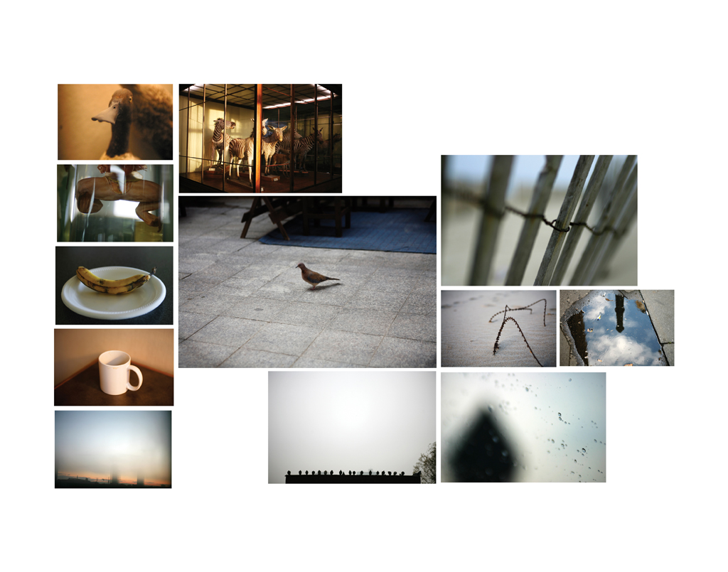 reverie , somewhere 10