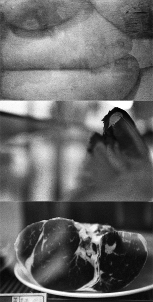 spiegel im spiegel02