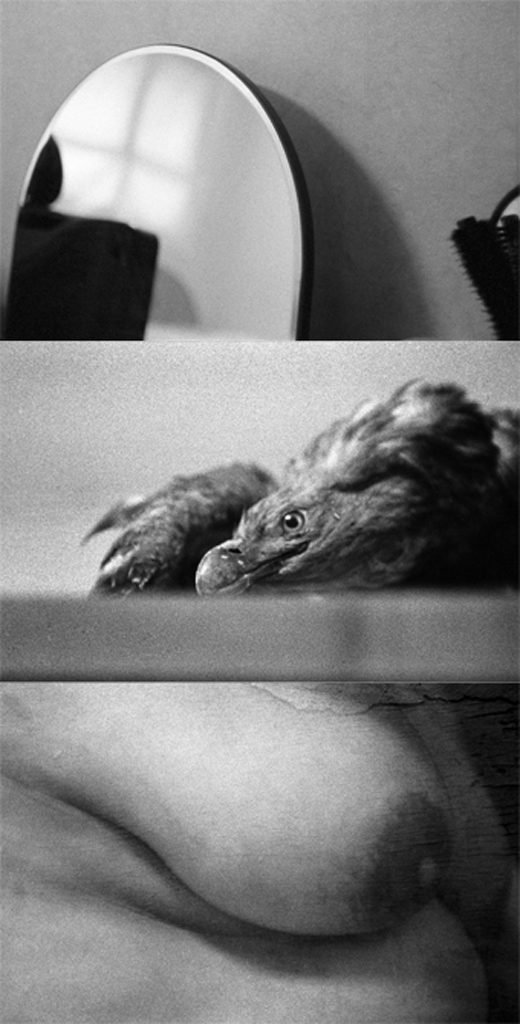 spiegel im spiegel05