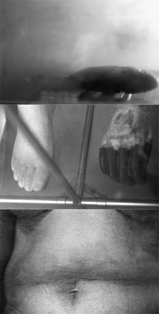 spiegel im spiegel08