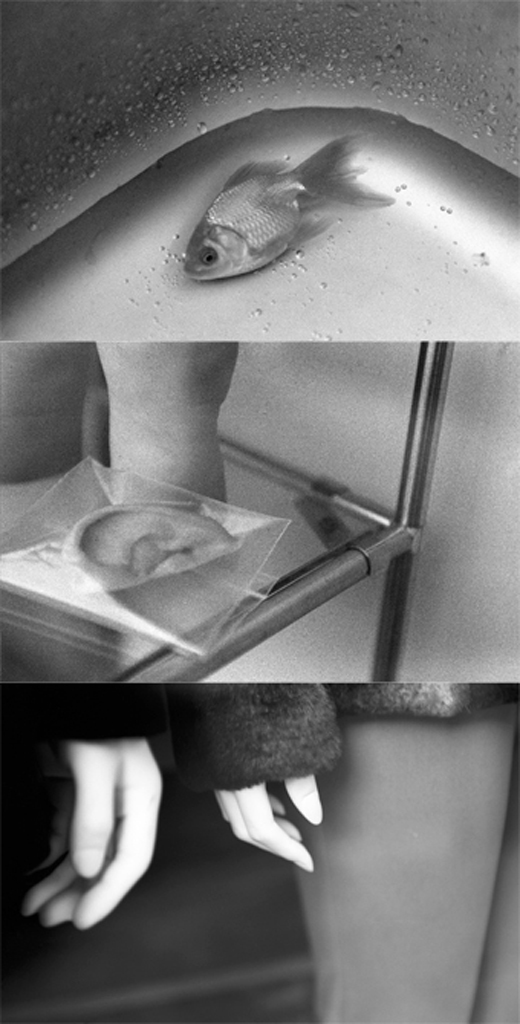 spiegel im spiegel10