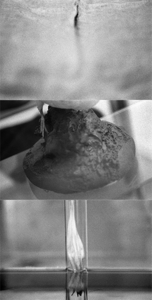 spiegel im spiegel12