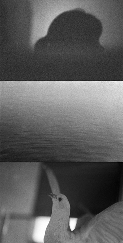 spiegel im spiegel15