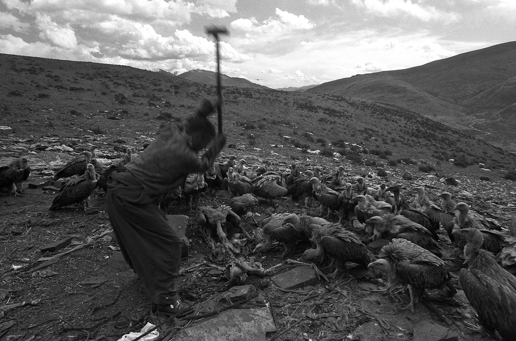 天葬(Sky burial)_011