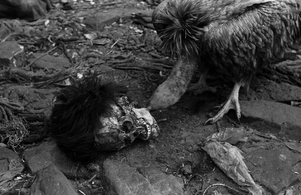 天葬(Sky burial)_016