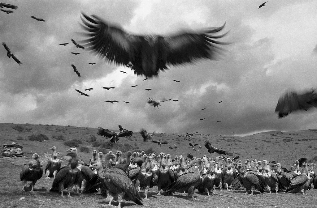 天葬(Sky burial)_07