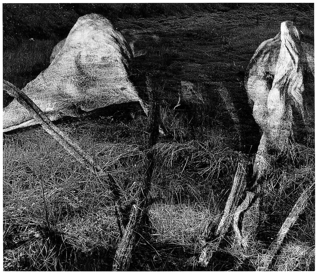 들판시리즈 #001