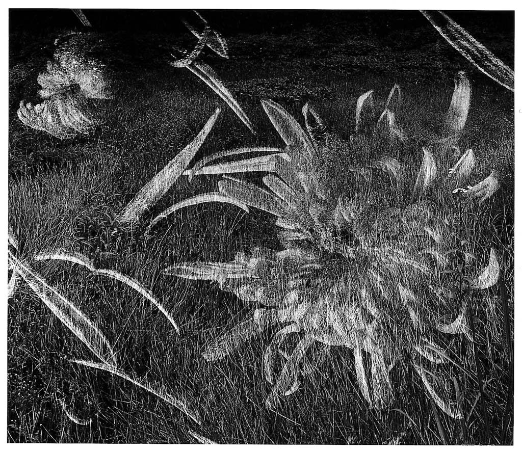 들판시리즈 #002, 1997